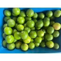 ราคา มะนาว สด มะนาวแท้ เก็บสดจากสวน ออแกนิค ปลอดสาร (20461883062)