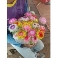 ราคา ไม้เสียบธนบัตรไม้เสียบเงินไม้กฐินผ้าป่า ชุด 10 ไม้ (21295523976)