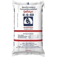 ราคา ปุ๋ยเคมี ปุ๋ยไข่มุก แบ่งขาย 1 กิโลกรัม 46 0 0 16 16 16 25 7 7 8 24 24 13 13 21 15 0 0 0 0 60 15 15 15 (16908310064)