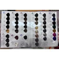 ราคา Color Chart ชาร์ทสี Dcash Supremeชาร์ทสี Dcash Optimus ตัวอย่างแสดงสีผม ปอยผม เส้นผมจริง (19367512923)