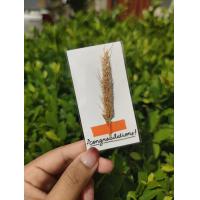 ราคา พร้อมส่ง การ์ดดอกไม้ การ์ดอวยพร ดอกไม้แห้ง การ์ดปัจฉิม ปัจฉิม ของขวัญปัจฉิม ของขวัญให้เพื่อน (17902775500)