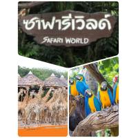 ราคา บัตรซาฟารีเวิลด์ Safari World ค่าเข้าทั้ง 2โซน ราคาถูก (19200963728)
