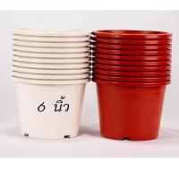 ราคา ขายถูกมาก ส่งไว กระถางพลาสติก ขนาด 6นิ้ว ชุด 20ใบ ฟรี 2 ใบ คละสี กระถางสีขาว กระถางสีอิฐ กระถาง6นิ้ว กระถางคุณภาพดีเกรดA (12261531378)