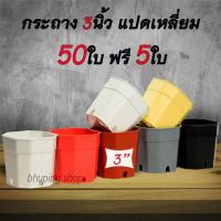 ราคา กระถาง 8เหลี่ยม กระถางแคคตัส ขนาด 3นิ้ว ชุด 50ใบ ฟรี 5ใบ คละสี กระถางพลาสติก กระถางแคคตัส กระถางแปดเหลี่ยมตัดมุม (21146989001)