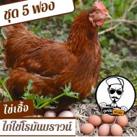 ราคา ไข่เชื้อไก่ไข่ 5 ฟอง สำหรับฟัก (21408546679)