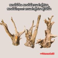 ราคา ขอนไม้ รากไม้ ขอนไม้ตกแต่งตู้ปลา ขอนไม้ layout ตู้ไม้น้ำ ขนาดใหญ่ (21407703634)