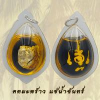 ราคา คต มะพร้าว คตมะพร้าว แช่ในน้ำมันจันทร์ มหานิยม มหาอุต คงกระพัน แคล้วคลาด ค้าขายร่ำรวย คตมะพร้าวแช่น้ำมัน (20584579991)