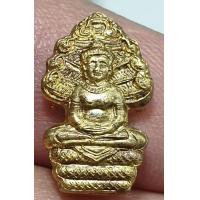 ราคา เหรียญนาคปรกปรกมะขามหลวงปู่หงษ์วัดเพชรบุรี ปี 55 เนื้อทองฝาบาตรสภาพเดิมๆ (17390677477)