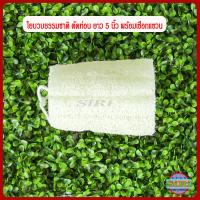 ราคา ใยบวบขัดผิว ใยบวบขัดตัว บวบธรรมชาติ บวบตัดท่อน ยาว 4 5 6 นิ้ว พร้อมเชือกห้อย Natural Loofah Sponge with hanger พร้อมส่ง (12578387931)