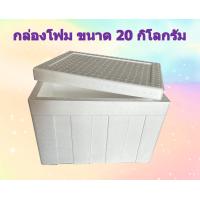 ราคา กล่องโฟม ลังโฟม ขนาด 20 กิโลกรัม ลังโฟมราคาถูก (19700602339)
