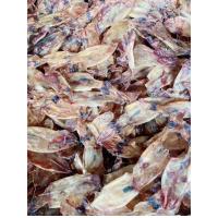 ราคา หมึกแห้ง หมึกกะตอยจืด หมึกกะตอยแห้ง เกรด AAA ขาว สะอาด ไม่เค็มจากมหาชัย (21395479633)