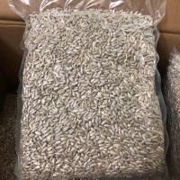 ราคา เมล็ดทานตะวันอบ เมล็ดทานตะวันแกะเปลือก เมล็ดทานตะวัน 500 กรัม (19569831618)