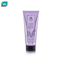 ราคา H เอช เบลล่า บาย วัตสัน คาล์มมิ่ง ลาเวนเดอร์ แอนด์ โจโจ้บา ออยล์ บอดี้ เซรั่ม 200มล (5580908143)