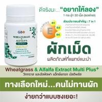 ราคา ผักเม็ด Wheatgrass Alfalfa Extract Multi Plus Q10 (21240601386)