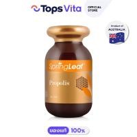 ราคา SPRINGLEAF สปริงลีฟ โพรโพลิส 90 แคปซูล (21060361699)