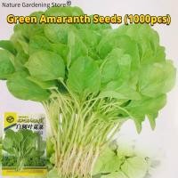 ราคา เมล็ดพันธุ์ ผักโขมสีเขียว เมล็ดผักโขมเขียว บรรจุ 1000 เมล็ด Green Amaranth Seeds Organic Vegetable Seeds for Planting เมล็ดผักโขม เมล็ดพันธุ์ผัก เมล็ดพันธุ์แท้ OP ผักสวนครัว ผักออร์แกนิก พันธุ์ผัก เมล