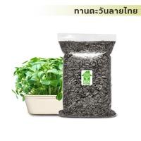 ราคา เมล็ดต้นอ่อนทานตะวัน ลายไทย เมล็ดพันธุ์ผัก เมล็ดสำหรับเพาะงอก เมล็ดสดใหม่ เมล็ดเพาะงอกต้นสูงงอกไว (18416602179)