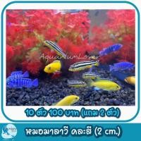 ราคา ปั้มลมสำหรับคนเลี้ยงปลา เพิ่มความสวยงามให้ตู้ปลา (21386941054)