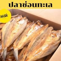 ราคา ปลาช่อนทะเลตากแห้งตัวใหญ่ ปลาช่อนปลาแห้ง ปลาช่อนทะเลตากแห้ง อาหารทะเลแห้ง สดใหม่ ขนาด 1 กิโล ปลาตากเเห้ง (15378985300)