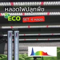 ราคา SET หลอดไฟ 4 หลอด LED GROW LIGHT ECO 18W ยาว120 cm หลอดไฟปลูกพืช หลอดไฟปลูกผัก หลอดไฟปลูกต้นไม้ Civic agrotech (12902265301)