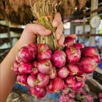 ราคา ช่วยเหลือชาวสวนกัน หัวหอมแดงศรีสะเกษ หอมแดงตัดจุก 1 กิโลกรัม (21292724529)