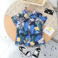 ราคา F0065 ชุดเสื้อเชืต กางเกงขาสั้น ฮาวาย ชุดเซ็ท ชุดเล่นสงกรานต์ ไปเที่ยวทะเล เสื้อผ้าเด็กผู้ชาย สำหรับเด็ก (20025386577)