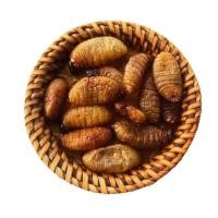 ราคา ด้วงสาคูทอด กรอบ หอม อร่อย ทอดวันต่อวัน (21086100429)