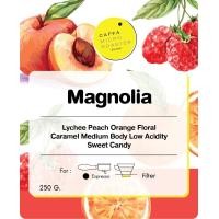 ราคา เมล็ดกาแฟนอก Magnolia 250g (20954427319)