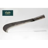 ราคา มีด พร้า มีดขอบ้อง ทรงปากนกแก้ว (1600004313)