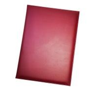 ราคา MEE แฟ้มกล่าวรายงาน ปกหนังเทียม ปกเรียบ A4 หลากสี (9251429387)