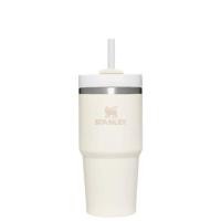 ราคา STANLEY ADVENTURE QUENCHER H2 0 FLOWST TUMBLER 20 OZ แก้วเก็บความเย็น (21303639689)