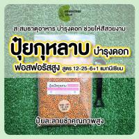 ราคา ปุ๋ยกุหลาบ ปุ๋ยบำรุงดอก ปุ๋ยเร่งดอก ปุ๋ยฟอสฟอรัสสูง ปุ๋ยละลายช้า ปุ๋ย 6 เดือน (16609625929)