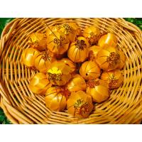 ราคา เหรียญโปรยทาน ตัวเปล่า10ชิ้น โปรยทานงานบวช โปรยทานสำเร็จรูป (19070816290)