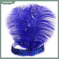 ราคา Leomcio ที่คาดผมประดับเลื่อมคริสตัลขนนกอินเดียเครื่องประดับผมแฟชั่นแบบอินเดียสำหรับปาร์ตี้วันหยุด (20888066069)