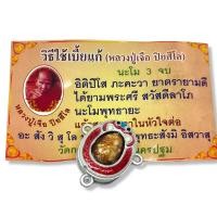 ราคา เบี้ยแก้หุ้มกรอบ หลวงปู่เจือ วัดกลางบางแก้ว พร้อมใบฝอยวิธีใช้ รุ่นนี้ดีมากพกพาติดตัวหรือทำน้ำมนต์ก็ได้ มีวิธีบูชามอบให้ด้วย SF (14619979622)