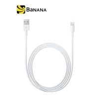 ราคา Apple Acc Lightning to USB Cable 2M ITS by Banana IT (850380)
