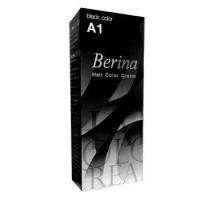 ราคา Berina เบอริน่า เซตสีย้อมผม A1 A20 (21428053204)