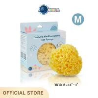 ราคา Chitida ฟองน้ำธรรมชาติแท้ 100 ฟองน้ำอาบน้ำเด็ก นุ่มมาก ใช้ได้นาน สายพันธุ์ Honeycomb (15648643351)