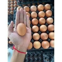 ราคา ไข่ไก่เบอร์ 2 มีแบ่งจำหน่าย 10 ฟอง 1แผง 30ฟอง (21351587763)