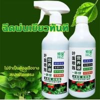 ราคา ฮอร์โมนทางใบ เร่งเขียว บำรุงพืช เร่งการเจริญเติบโต ฉีดแล้วใบเขียว ใบดก แก้ปัญหาใบเหลือง 500ml (21157285713)