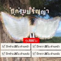 ราคา ปีกนางฟ้า ใส่แบงค์ได้ 30ใบ 100ใบ 200ใบ 60ใบ 50ใบ ปีกของขวัญรับปริญญา (21353905098)