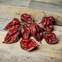 ราคา 20 เมล็ด พริกที่เผ็ดที่สุดในโลก พริกปีศาจ พริก ทานได้ ปลูกได้ทุกที่ Ghost Pepper Chilli Seeds สายพันธุ์ Kraken Scorpion (21353616233)