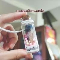 ราคา พร้อมส่ง ขวดโหลดอกไม้แห้ง เลือกข้อความได้ ของขวัญวันปัจฉิม ปัจฉิม ของขวัญรับปริญญา ของขวัญ (17525379954)