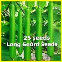 ราคา Long Bottle Gourd Seeds เมล็ดน้ำเต้ายาว ปลูกได้ทั้งปี 25เมล็ด ซอง เมล็ดพันธุ์ น้ำเต้า พันธุ์ลูกยาว เมล็ดพันธุ์น้ำเต้ายาว Giant Bottle Gourd Plants Seeds Organic Vegetable Seeds for Planting เมล็ดน้ำเต