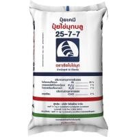 ราคา ปุ๋ยเคมี ปุ๋ยไข่มุก แบ่งขาย 1 กิโลกรัม 46 0 0 16 16 16 25 7 7 8 24 24 13 13 21 15 0 0 0 0 60 15 15 15 (16908310062)