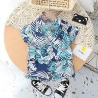 ราคา F0065 ชุดเสื้อเชืต กางเกงขาสั้น ฮาวาย ชุดเซ็ท ชุดเล่นสงกรานต์ ไปเที่ยวทะเล เสื้อผ้าเด็กผู้ชาย สำหรับเด็ก (20025386572)
