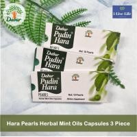 ราคา กลิ่นมิ้นท์ ปู่ดิน พูดิน Best Mint Pearl Pudin Hara 10 Piece Dabur แบ่งขาย 1 3 แผง แบ่งขายเป็นแผง ไม่ได้ขายเป็นกล่อง รบกวนอ่านรายละเอียดก่อนสั่ง (21007398799)
