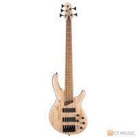 ราคา Cort B5 Element เบส Electric bass (21378788153)