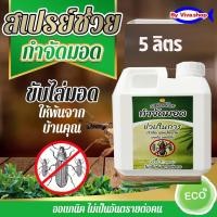 ราคา สเปรย์ไล่มอด สมุนไพรกำจัดมอด สเปรย์ป้องกันมอด กำจัดมอดไม่ไผ่ น้ำยากำจัดมอด ซุ้มไม้ไผ่ มอดไม้ในบ้าน ในสวน 5 ลิตร (19977857998)