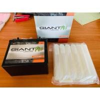 ราคา แบตเตอร์รี่แห้ง YTX12 BS 14 6x8 4x12 8 GIANT (10522807206)
